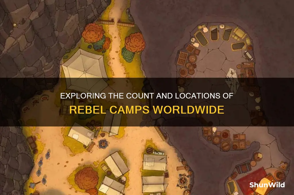 how many rebel camps