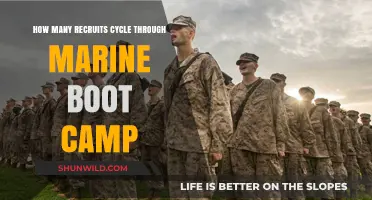 Marine Boot Camp Recruit Cycle: Understanding the Annual Turnover