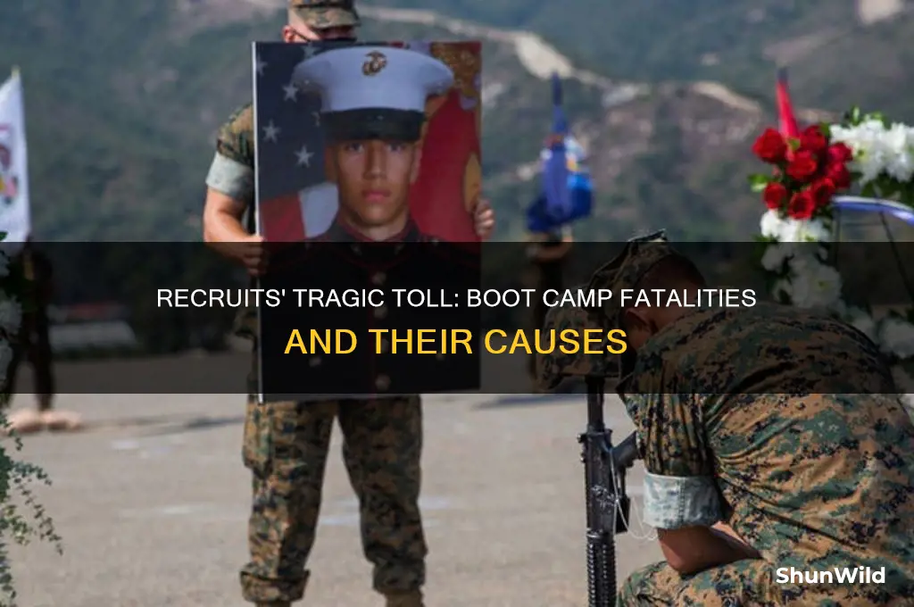 how many recruits died in boot camp