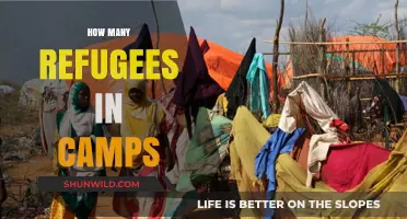 Global Refugee Crisis: Understanding the Scale of Camp Populations