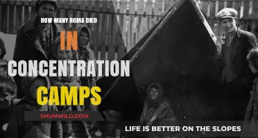 The Forgotten Holocaust: Roma Victims in Concentration Camps