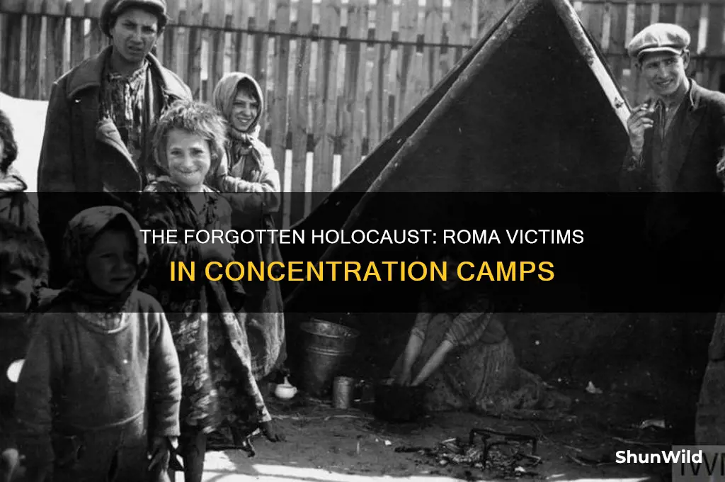how many roma died in concentration camps