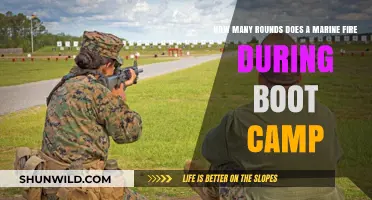 Marine Boot Camp: Unveiling the Number of Rounds Fired in Training