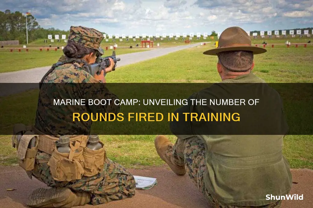 how many rounds does a marine fire during boot camp