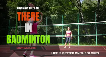 Badminton Rules: A Comprehensive Guide
