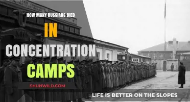 Russian Losses in Concentration Camps: Uncovering the Devastating Toll