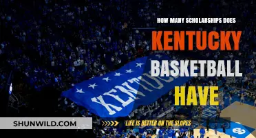 Kentucky Basketball: Scholarship Numbers and Roster Management