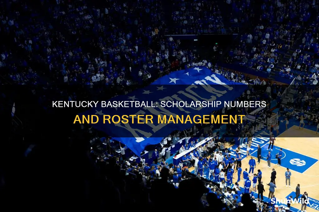 how many scholarships does kentucky basketball have