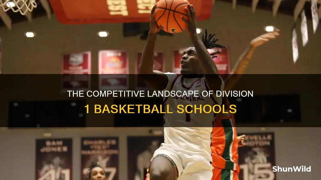 how many schools in division 1 basketball