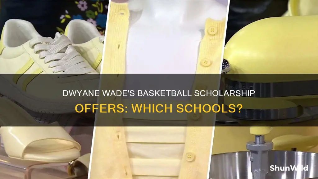 how many schools offered dwyane wade a basketball scholarship