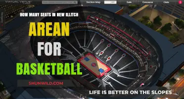Basketball at New Illitch: A Seat for Everyone