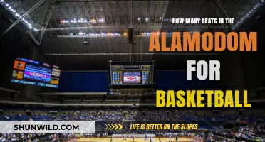 Seats for Basketball at the Alamodome: How Many?