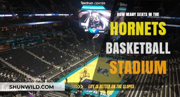 Buzzing Hornets: Stadium Seats for the Fans