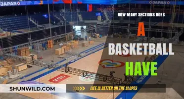 Basketball Anatomy: Sections and Their Secrets