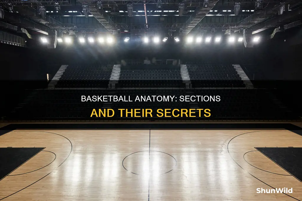 how many sections does a basketball have