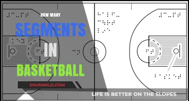 The Basketball Court: Segments and Strategies