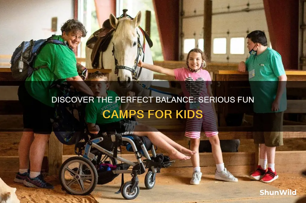 how many serious fun camps