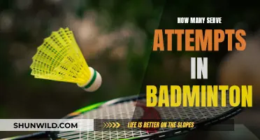 Serve Attempts: The Rules of Badminton