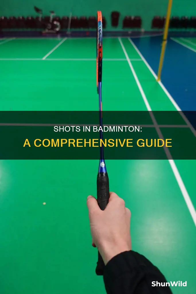 how many shots are there in badminton