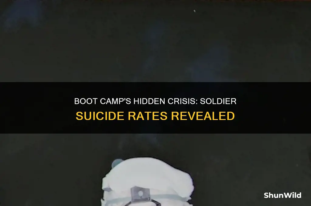 how many soldiers commit suicide during boot camp