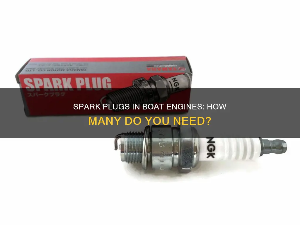 how many spark plugs do boat engines have