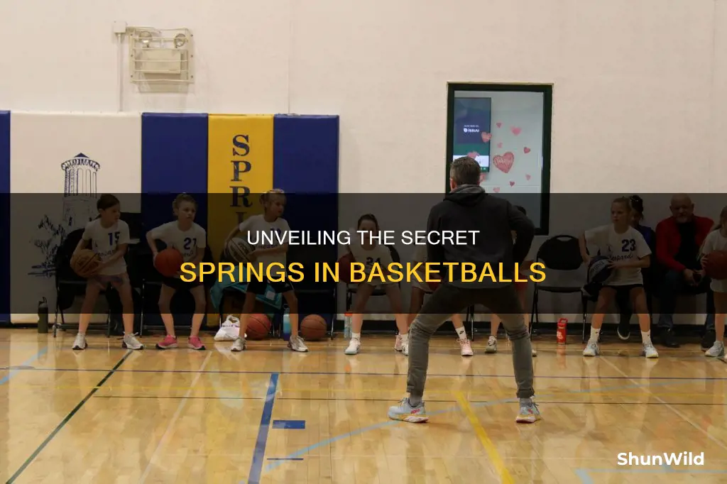 how many springs does a basketball have