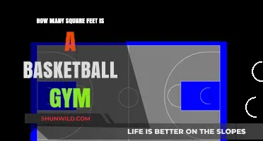 Spacious Gyms: Basketball Court Square Footage