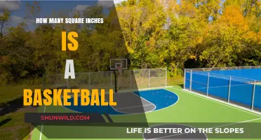 Basketball Surface Area: Square Inches Explained