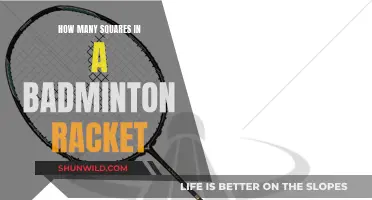 Squares on a Badminton Racket: How Many?