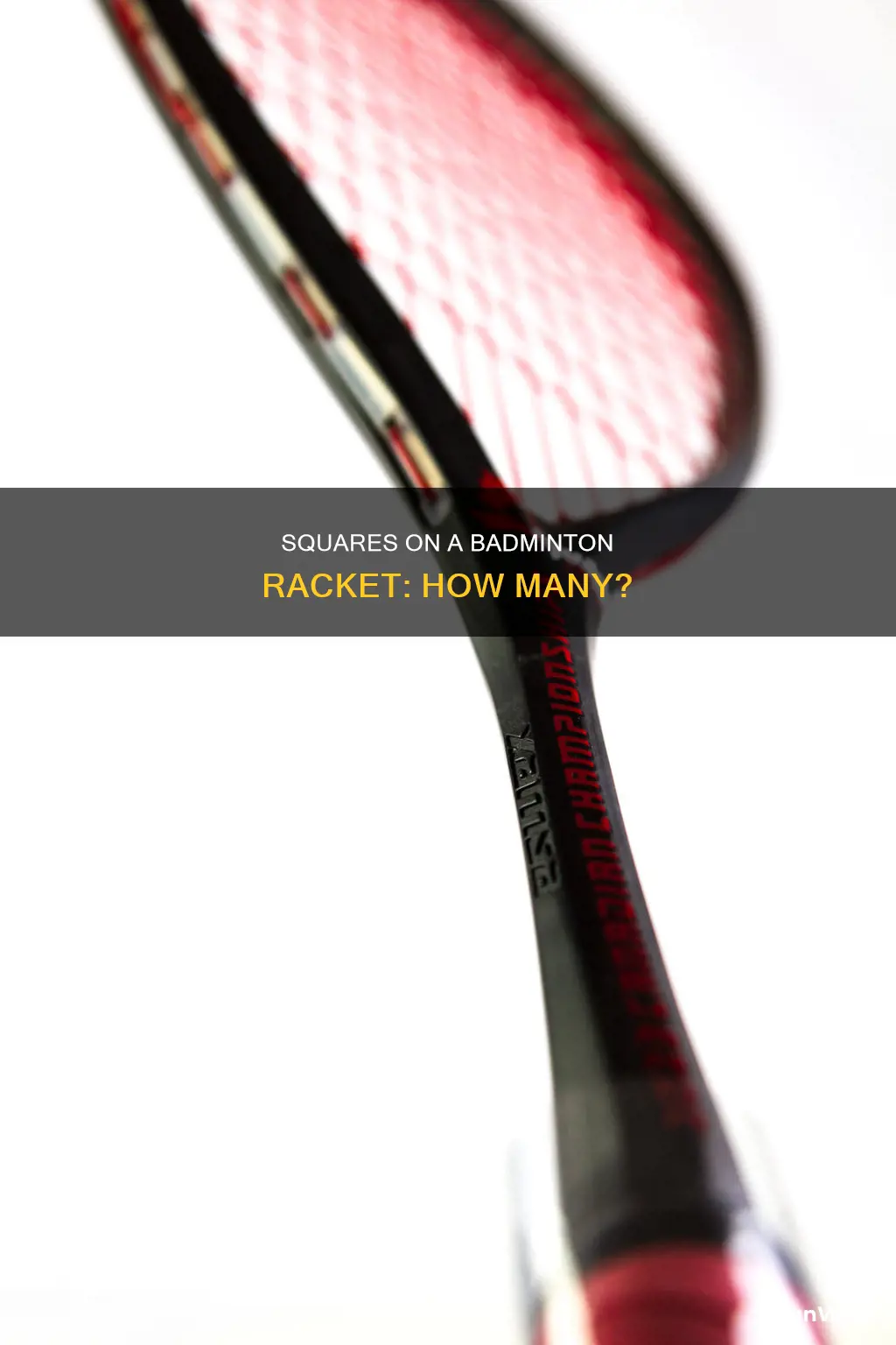 how many squares in a badminton racket
