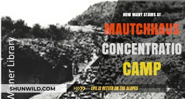 Mauthausen Concentration Camp: The Haunting Stairs and Their History