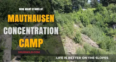 Mauthausen Concentration Camp's Staircase of Suffering: A Historical Overview