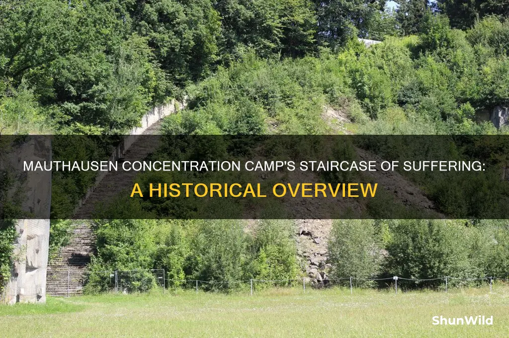 how many stairs at mauthausen concentration camp