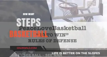 Steps to Basketball Success: A Guide to Mastering Fundamentals