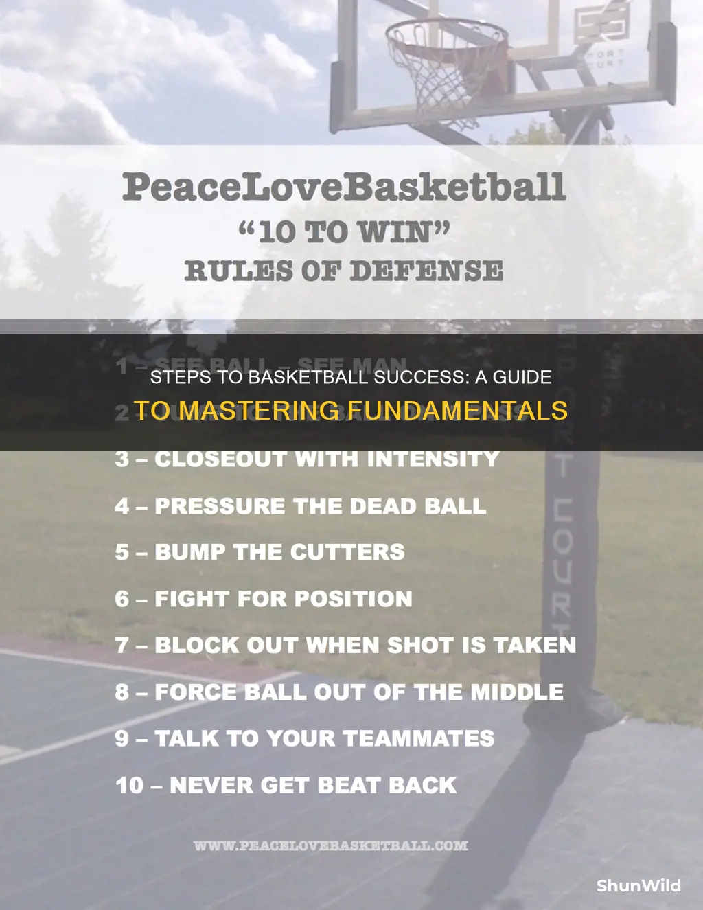 how many steps basketball