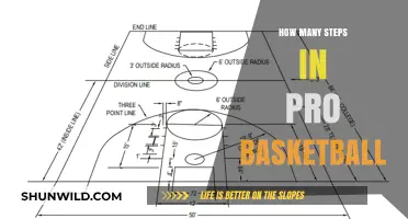 Steps to Pro Basketball Stardom: A Guide