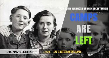 Fading Witnesses: Remaining Concentration Camp Survivors Share Their Stories