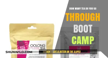 Surviving Boot Camp: Tracking Tea Consumption Through the Toughest Weeks