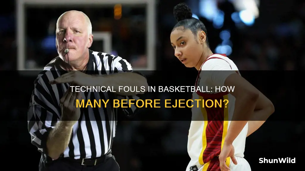 how many technical fouls in basketball