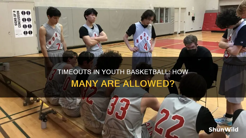 how many timeouts in youth basketball