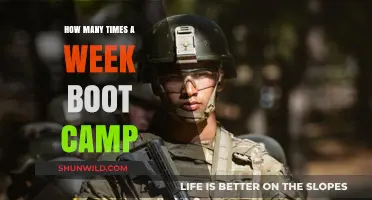 Optimal Weekly Boot Camp Frequency for Fitness and Recovery