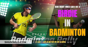 Unlimited Birdie Shots: Badminton's Unique Charm
