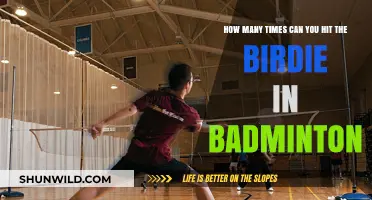 Unlimited Strikes: Badminton Birdie Basics