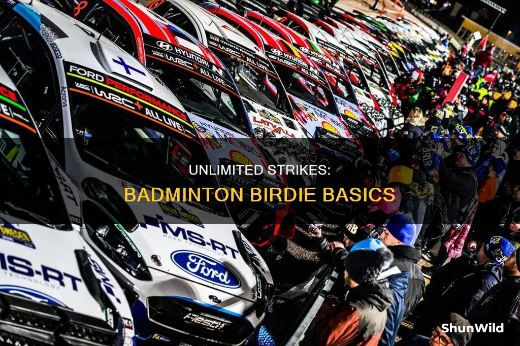 how many times can you hit the birdie in badminton
