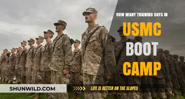 USMC Boot Camp Training Days: A Comprehensive Breakdown