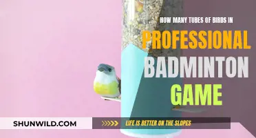 Badminton Birdies: Tubes and Professional Games