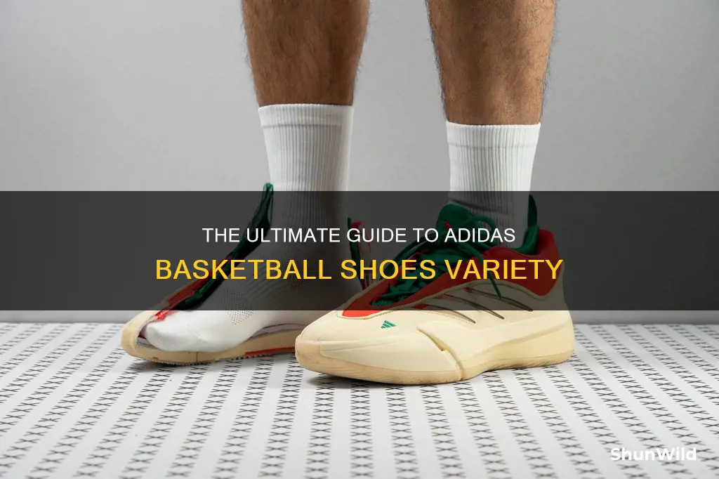 how many types of adidas basketball shoes are there