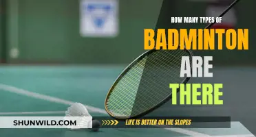 Badminton Types: Know the Different Variations of the Sport