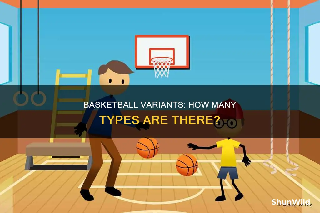 how many types of basketball are there