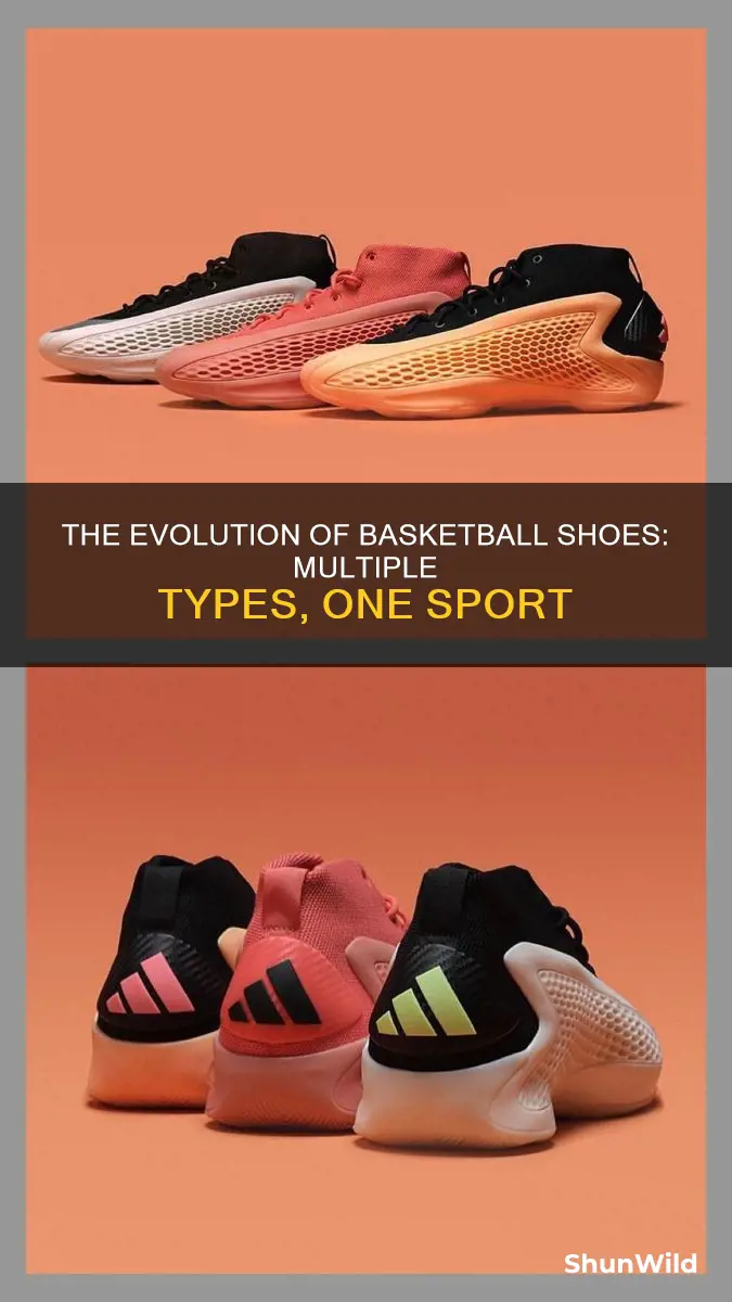 how many types of basketball shoes
